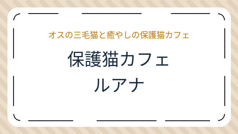 岡山県岡山市北区田町のカフェ「保護猫カフェ ルアナ」の店舗情報・おすすめメニュー