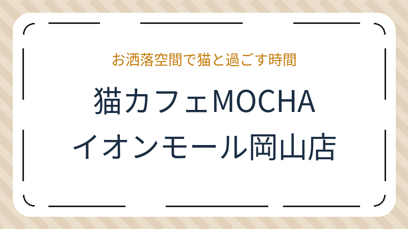 岡山県岡山市北区下石井の猫カフェ「猫カフェMOCHA（モカ）イオンモール岡山店」の店舗情報・おすすめメニュー