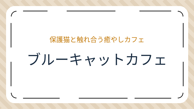 岡山県岡山市北区問屋町のカフェ「ブルーキャットカフェ」の店舗情報・おすすめメニュー