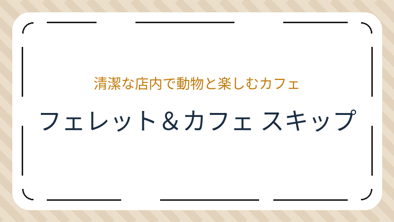 岡山県岡山市南区福吉町のカフェ「フェレット＆カフェ スキップ」の店舗情報・おすすめメニュー